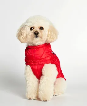 Al Red Dog Puffer Coat Jacket