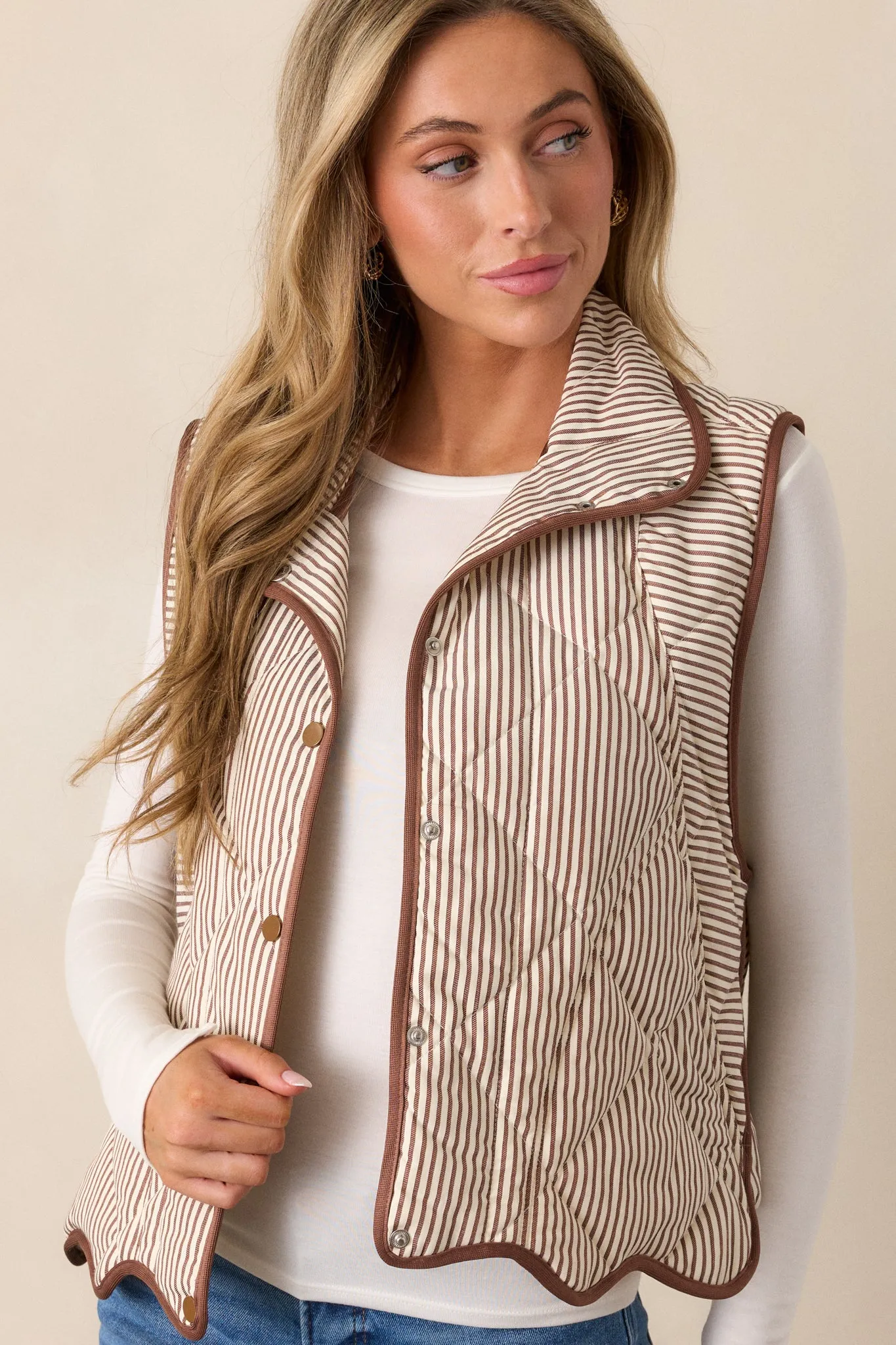 Drifting Branches Chocolate Stripe Quilted Vest