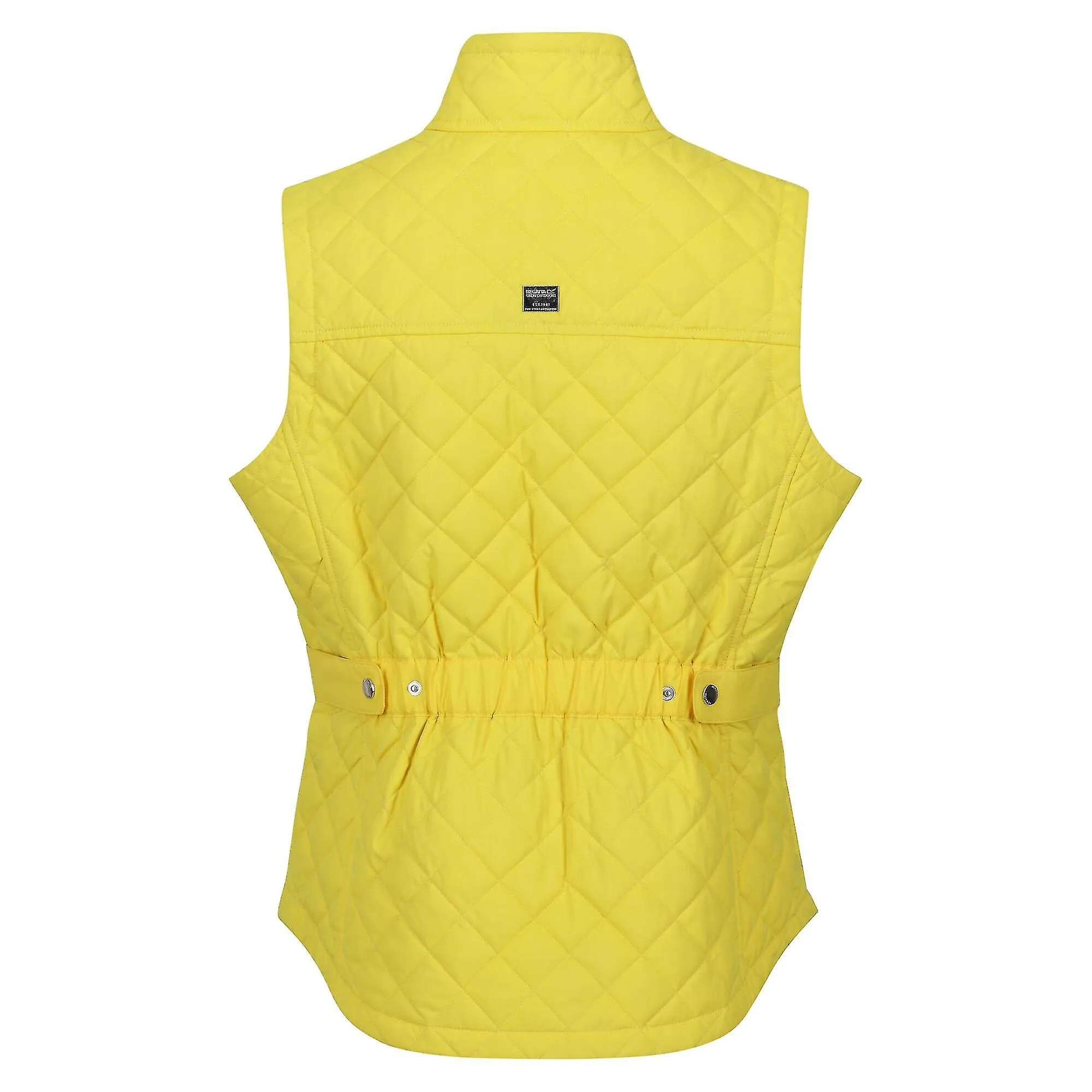 Regatta Womens/Ladies Carmine Gilet