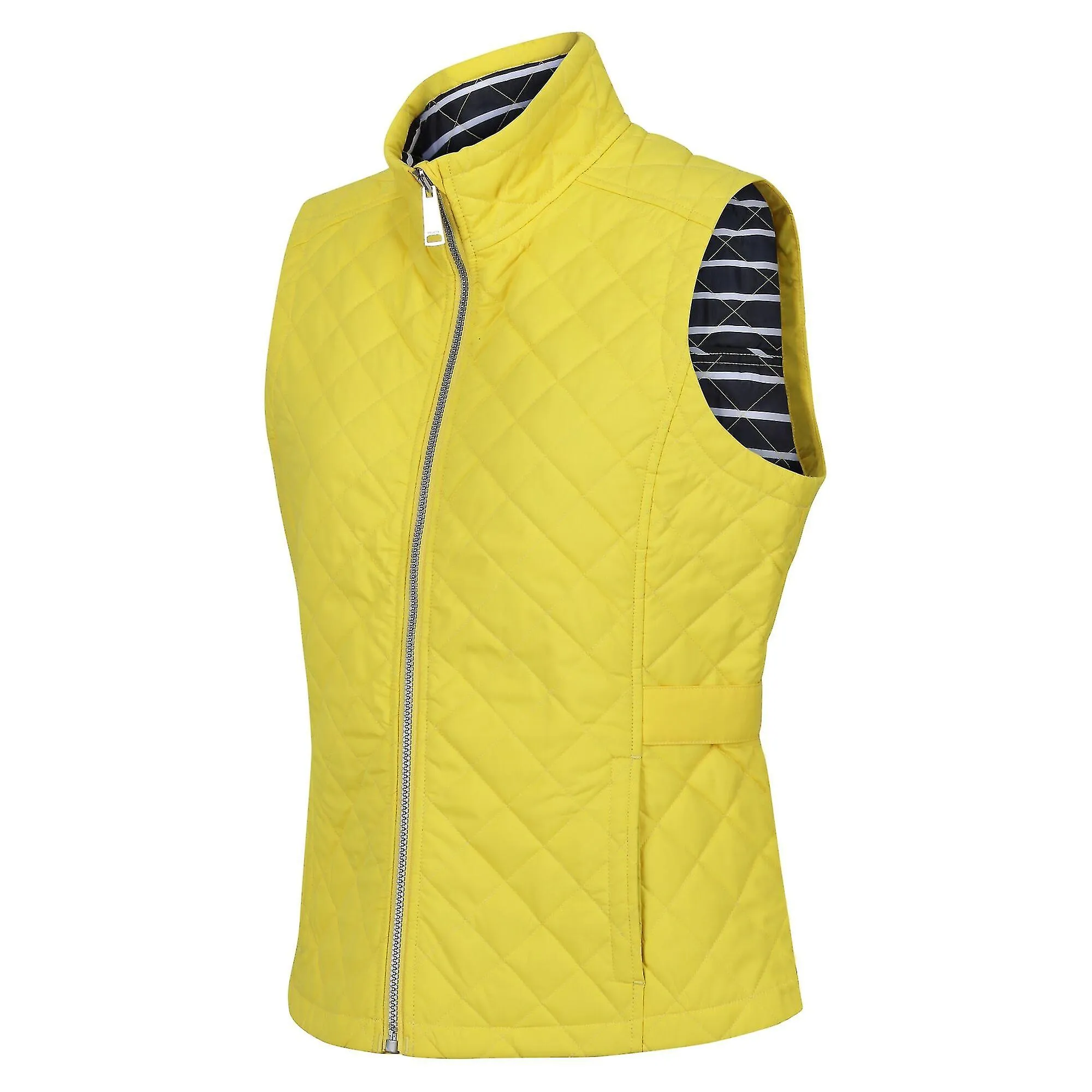 Regatta Womens/Ladies Carmine Gilet